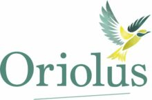 Oriolus