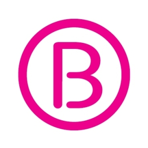 logo bvn